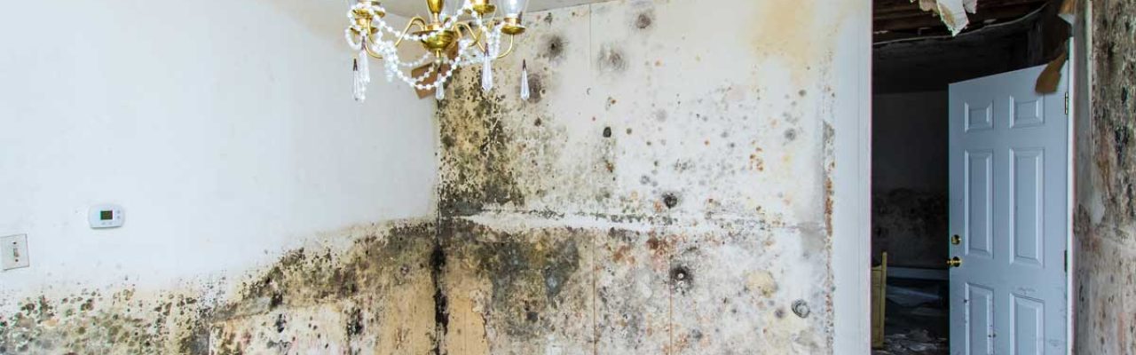 7-Common-Misconceptions-About-Water-Damage-Repair 7-Common-Misconceptions-About-Water-Damage-Repair